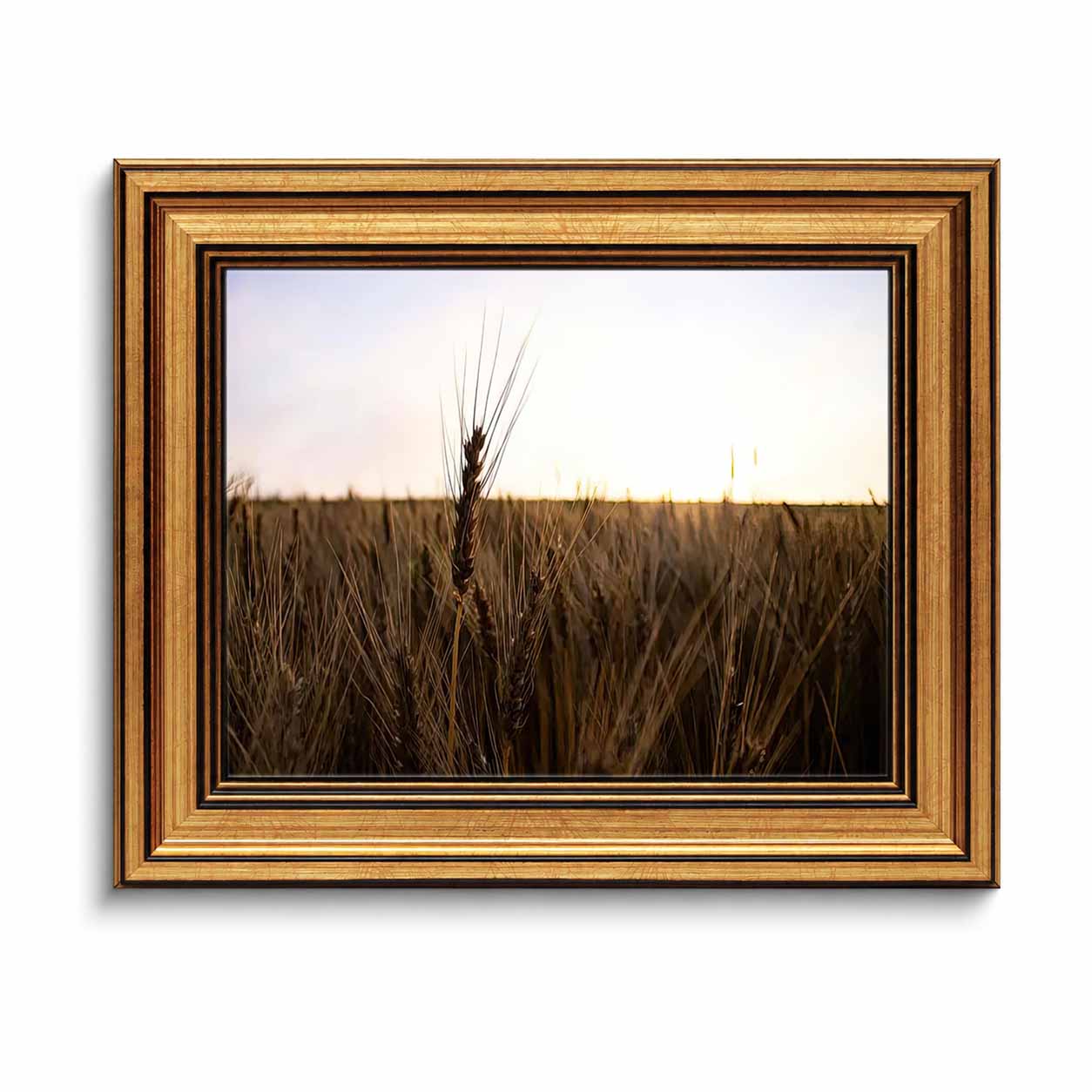 Framed Canvas Wall Art, Golden - Abstract Oil Painting recension och pris